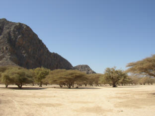 musandam_rastplatz