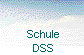  Schule
  DSS 