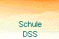  Schule
  DSS 
