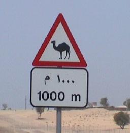wueste_camel_schild
