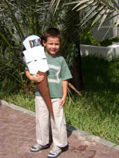 dss_schultte