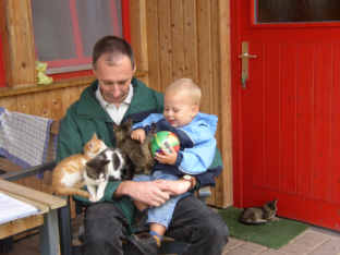 urlaub_2003_katzen
