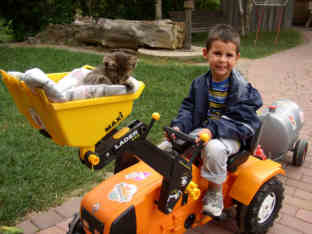 urlaub_2003_simon_katze