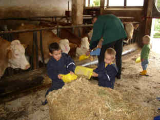 urlaub_2003_stall1