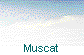  Muscat 
