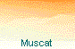  Muscat 
