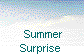  Summer
Surprise 