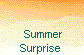  Summer
Surprise 